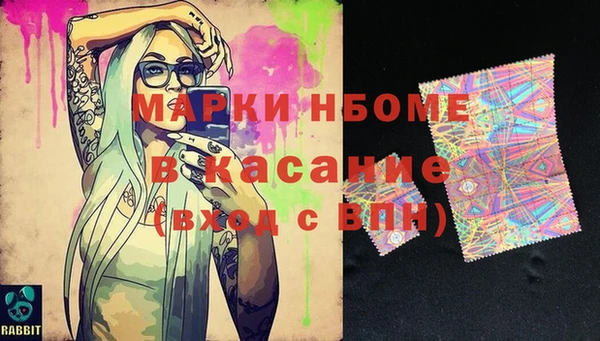 хмурый Арсеньев