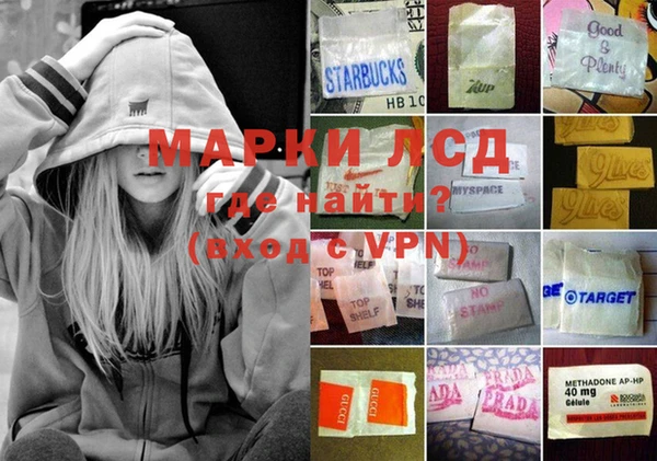 таблы Новозыбков