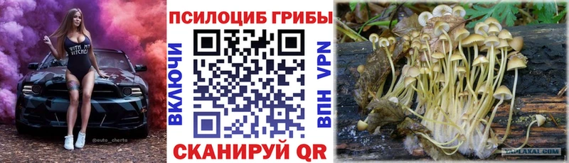 Галлюциногенные грибы Magic Shrooms Петушки